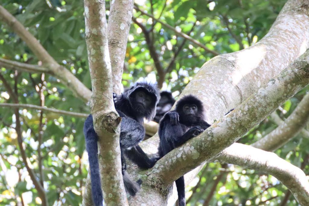 Tetebatu Indah Homestay Kültér fotó