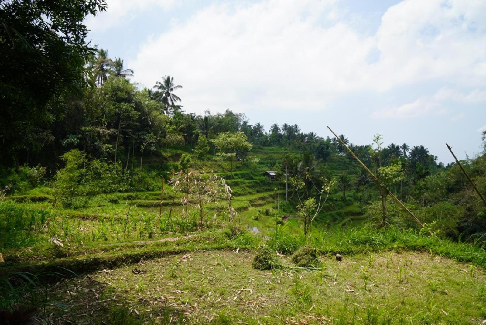 Tetebatu Indah Homestay Szoba fotó