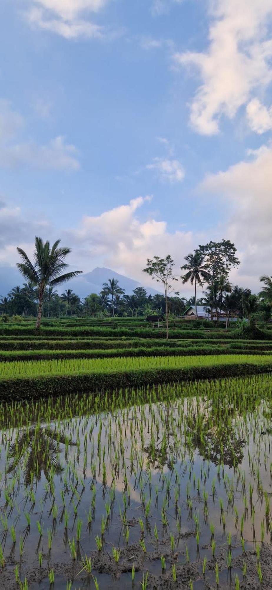 Tetebatu Indah Homestay Kültér fotó