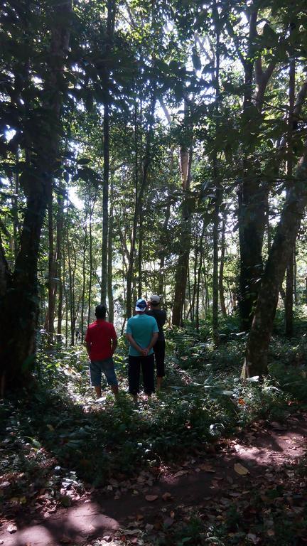 Tetebatu Indah Homestay Kültér fotó