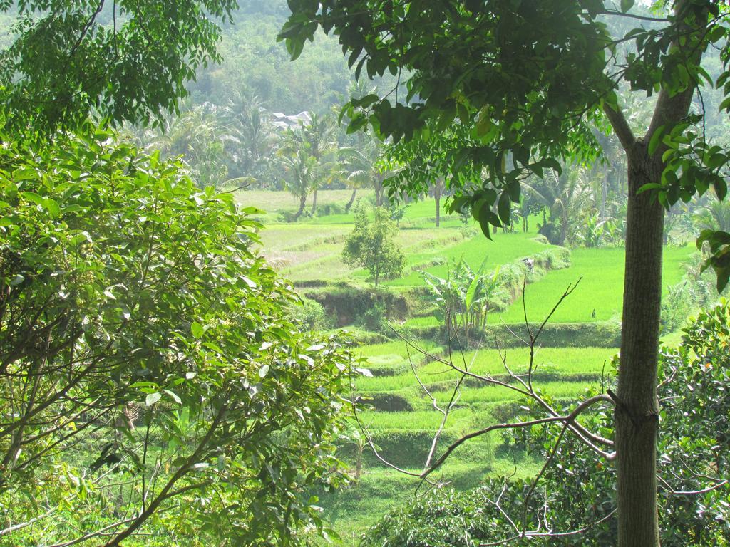 Tetebatu Indah Homestay Kültér fotó